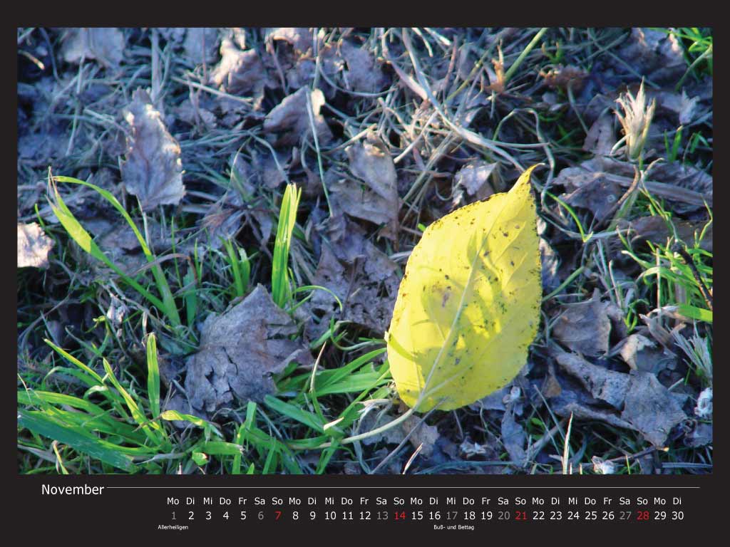 gelBlattKomplem - - - - - - - - - complementaryLeafYellow