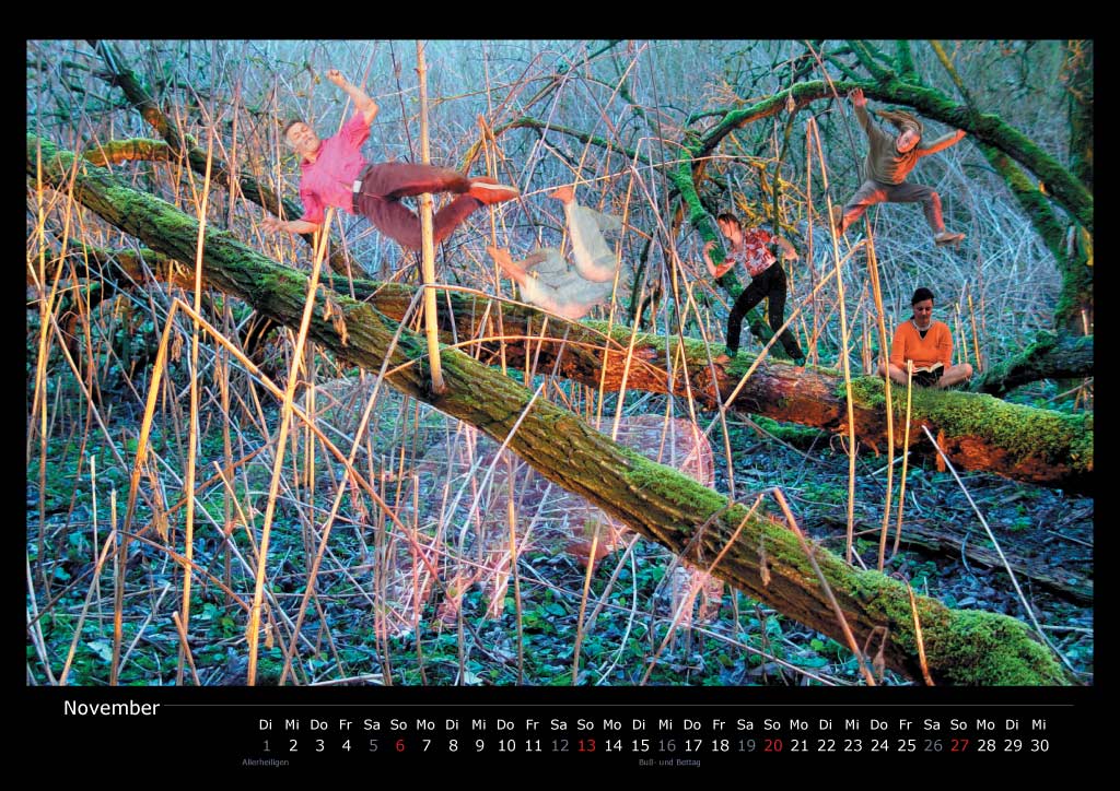 Im Zauberwald - - - - - - - - - Mysterious Forest