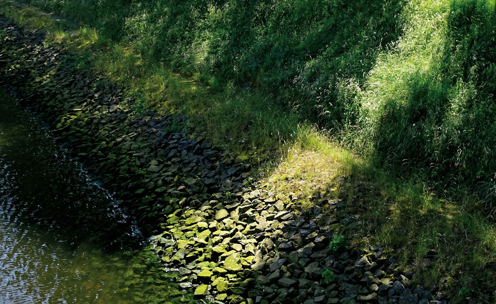 Der Grünstreifen  |  The Green Grass Way  |  La Ruta Verde